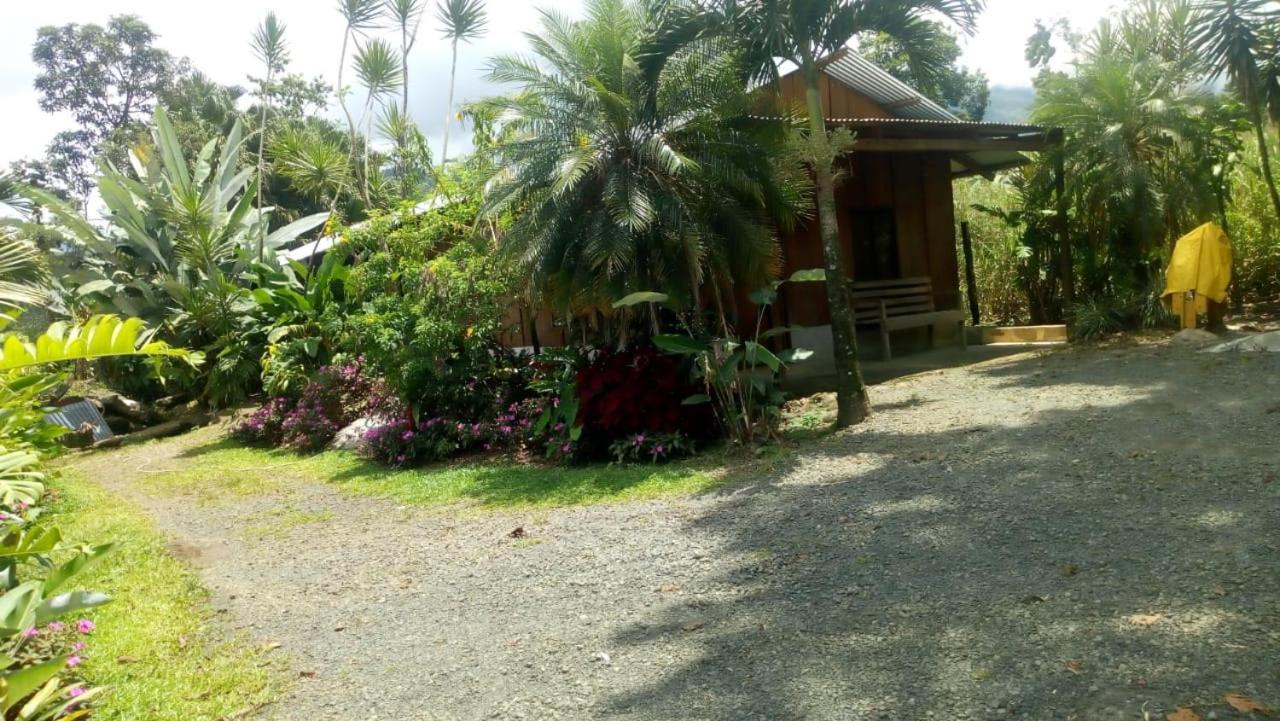 Posada Rio Celeste In Acomodação com café da manhã Exterior foto