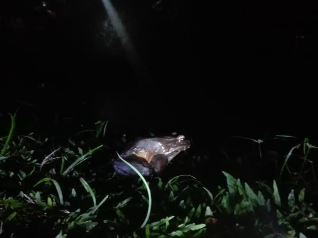 Posada Rio Celeste In Acomodação com café da manhã Exterior foto